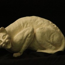 פסלי חיות מקרמיקה -חתולים