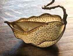 פיסול בעיסת נייר,  חוג , סדנה, קורסים