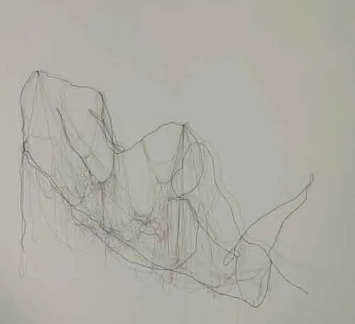 רשום בחוטי ברזל -סדנה.