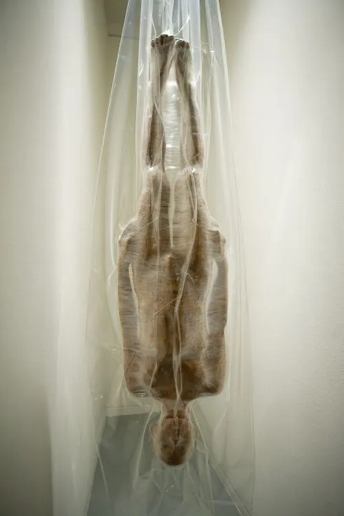 קורס פיסול תל אביב: Byungho Lee