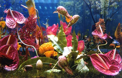 מארק קווין, „Garden”: פרחים צבעוניים, ביניהם אנתוריום ורוד וסחלבים, מוקפים בצמחייה מאחורי זכוכית