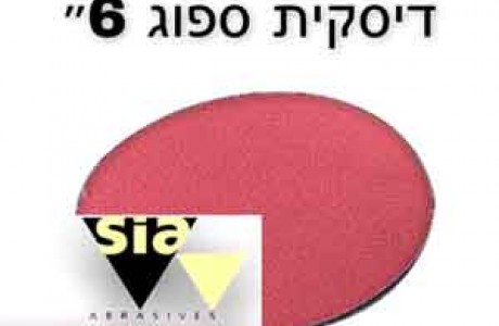 דסקית ספוג — גרעין 2000