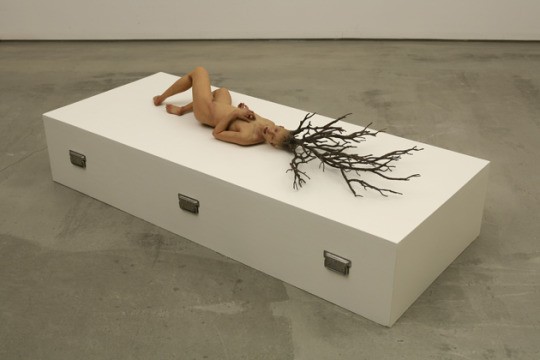 Choi XooAng, מצב צמחי
